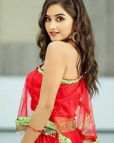 Call Girls Service Palwancha
